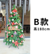 B款