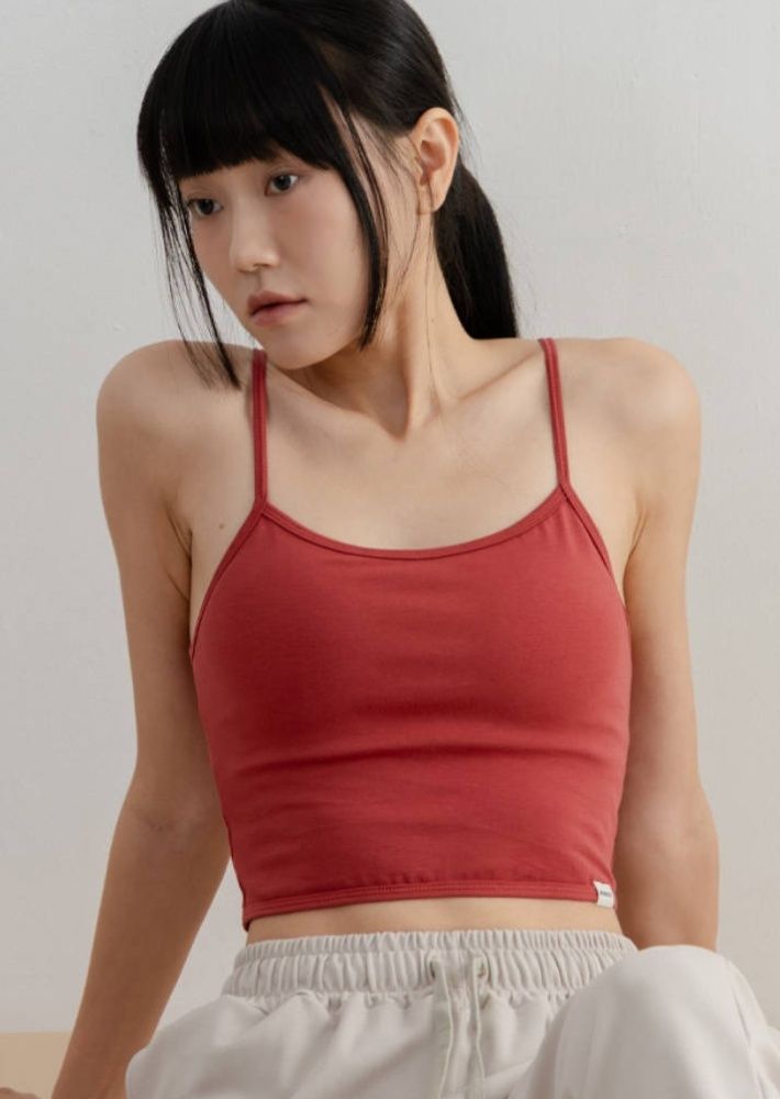 cropped_Snipaste_2026-09-10_20-32-51