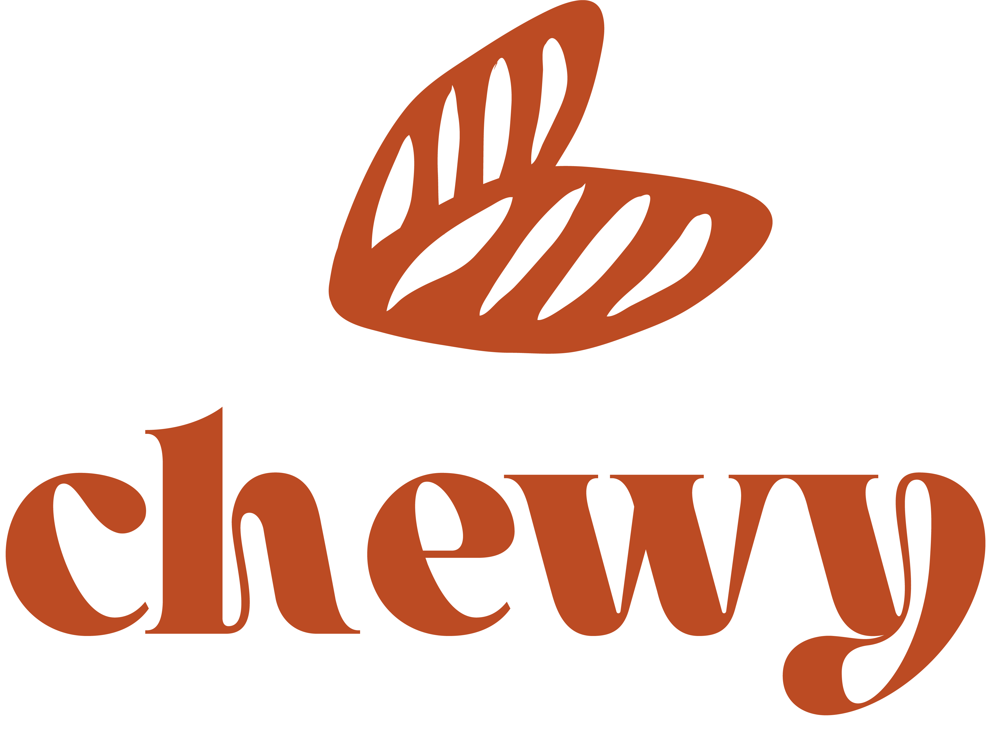 Bakes Chewy