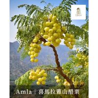 sg-11134201-825ah-ms6u8w100jr9c4