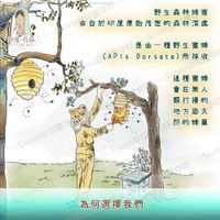 tw-11134207-81zte-mg5lcg7zvlzg9d