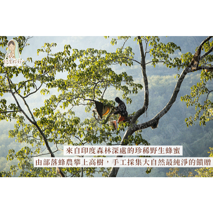tw-11134207-81zto-mg5mtogrpcsu03