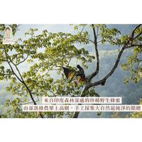 tw-11134207-81zto-mg5mtogrpcsu03