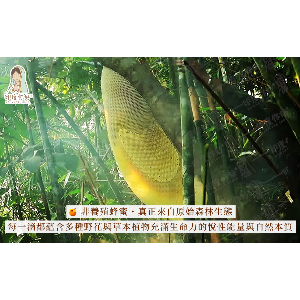 tw-11134207-81ztc-mg5me2zjxrf2ee