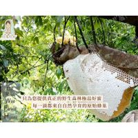 tw-11134207-81ztf-mg5nfagf9r0q5b