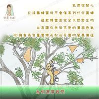 sg-11134201-22100-azujnk9gcnivd8