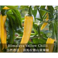 tw-11134207-820le-mpyxhjy89hcfa4