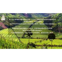 tw-11134207-7ra0o-mdd29fa30s4qa6