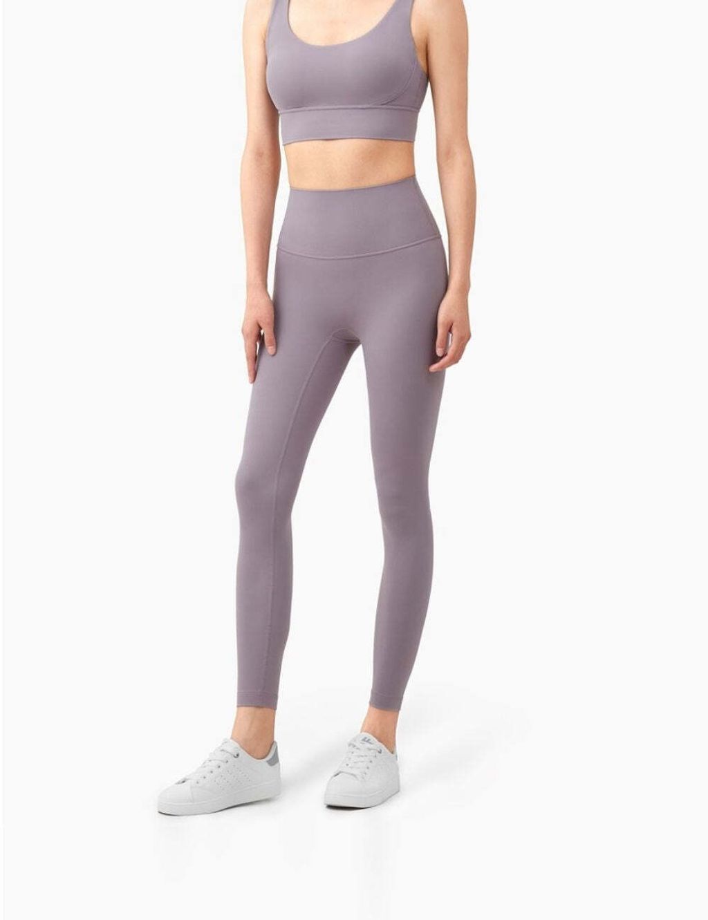 VIOLETVERBENA1