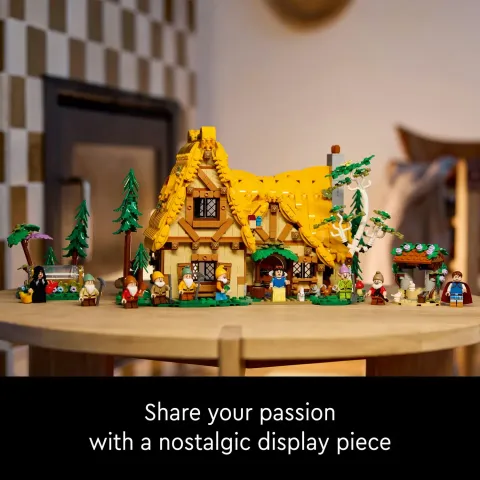 43242Frame5