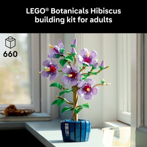 fLCUHsBP68836ffc2b8c7_1753444348
