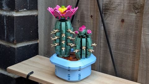 LEGO-11509-Flowering-Cactus-Review-Pictured-Outside