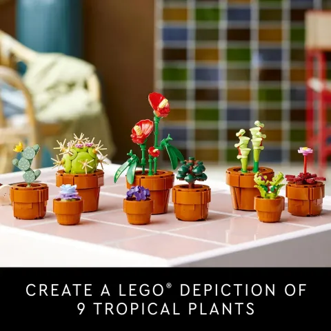 10329Frame2