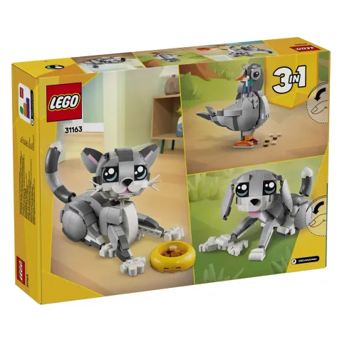 31163_Box5_v29