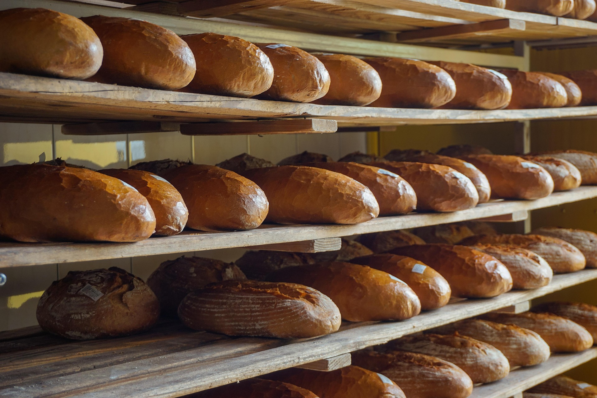 What Is the Best Sourdough Bread? A Simple Guide to Choosing Your Loaf