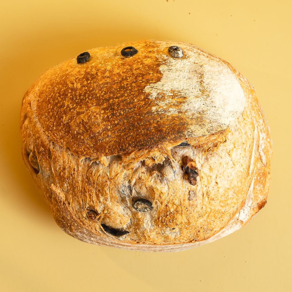 21_Olive Walnut_4