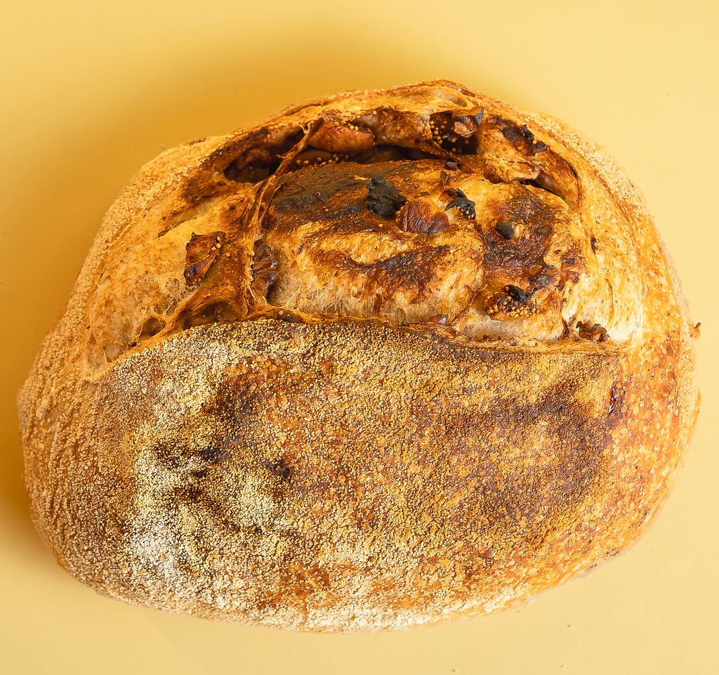 18_Fig Walnut_2