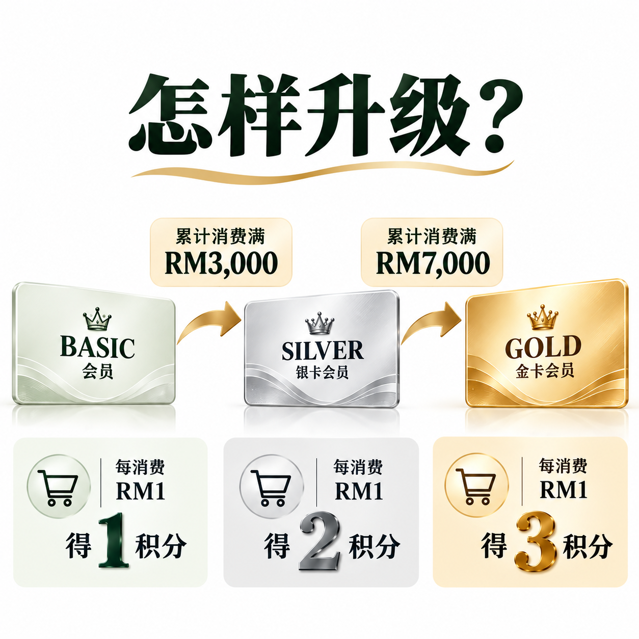 会员升级指南：Basic至Gold