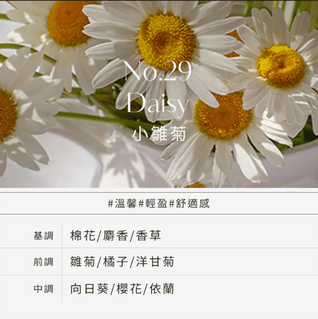 daisy（洗手液-香薰）