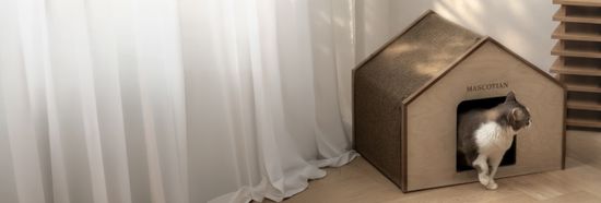 貓咪小屋 | MASCOTIANTW