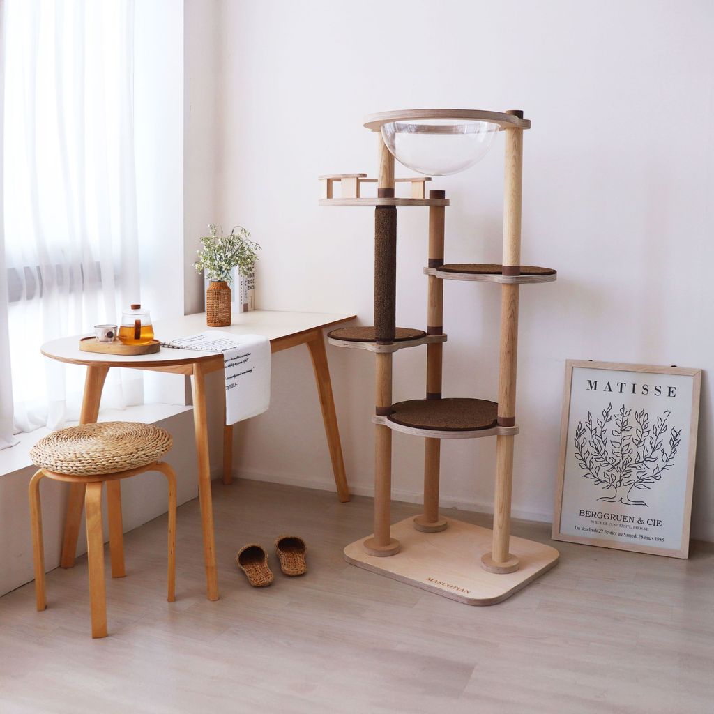 브라운