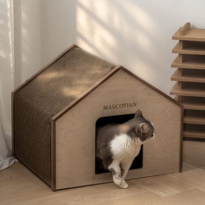 하이든 하우스