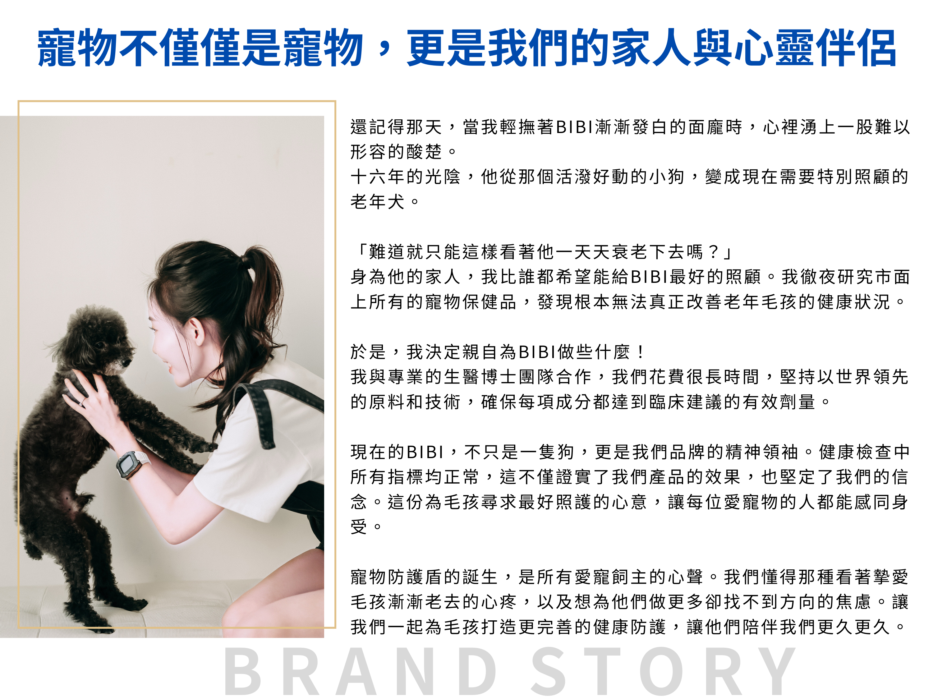 品牌故事最新