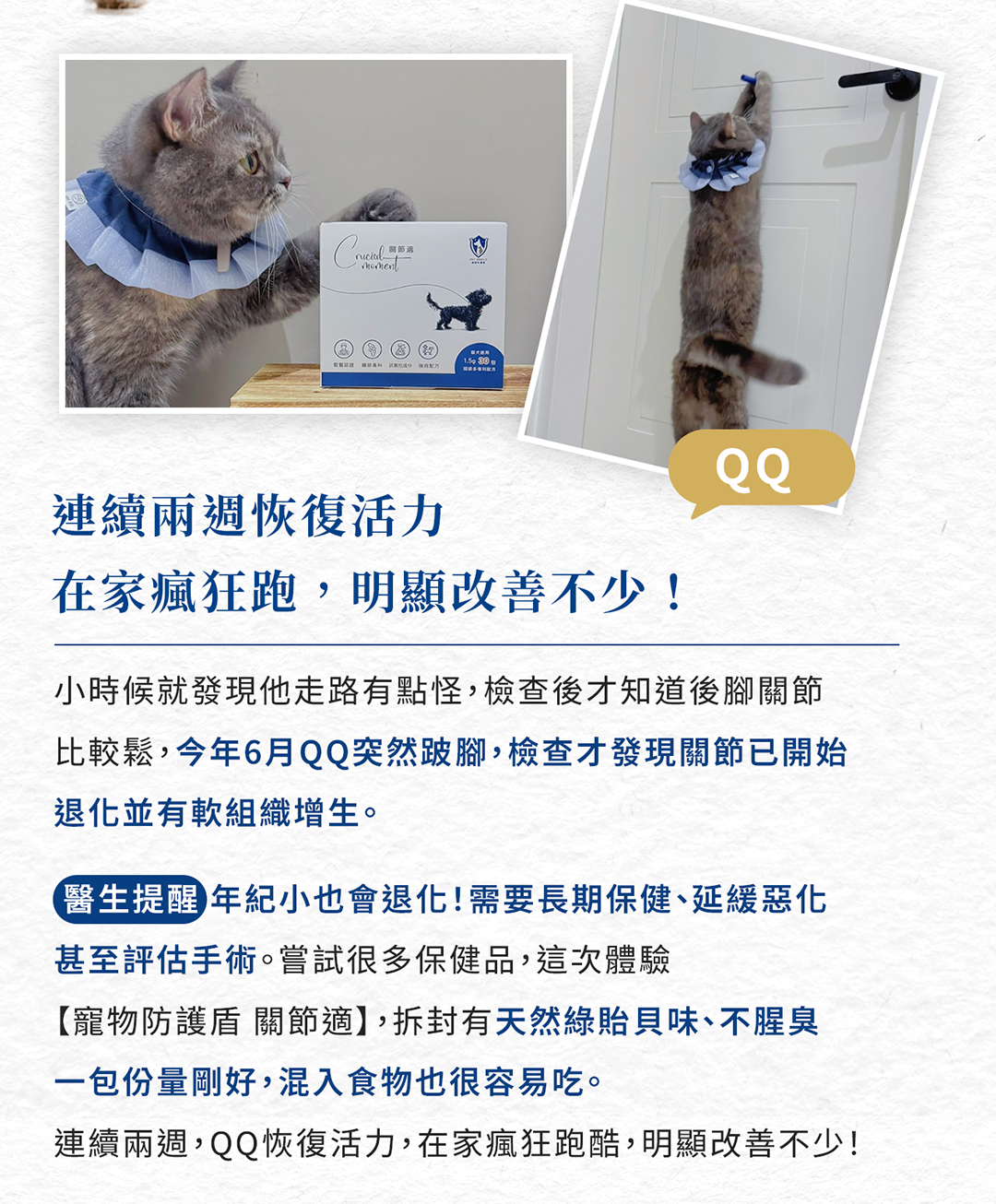 寵物防護盾_關節適_10拷貝2