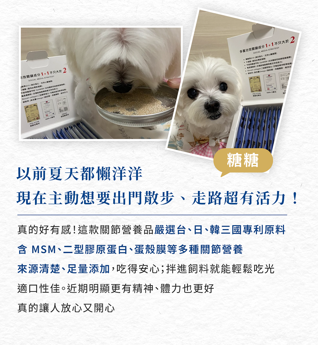 寵物防護盾_關節適_11拷貝2