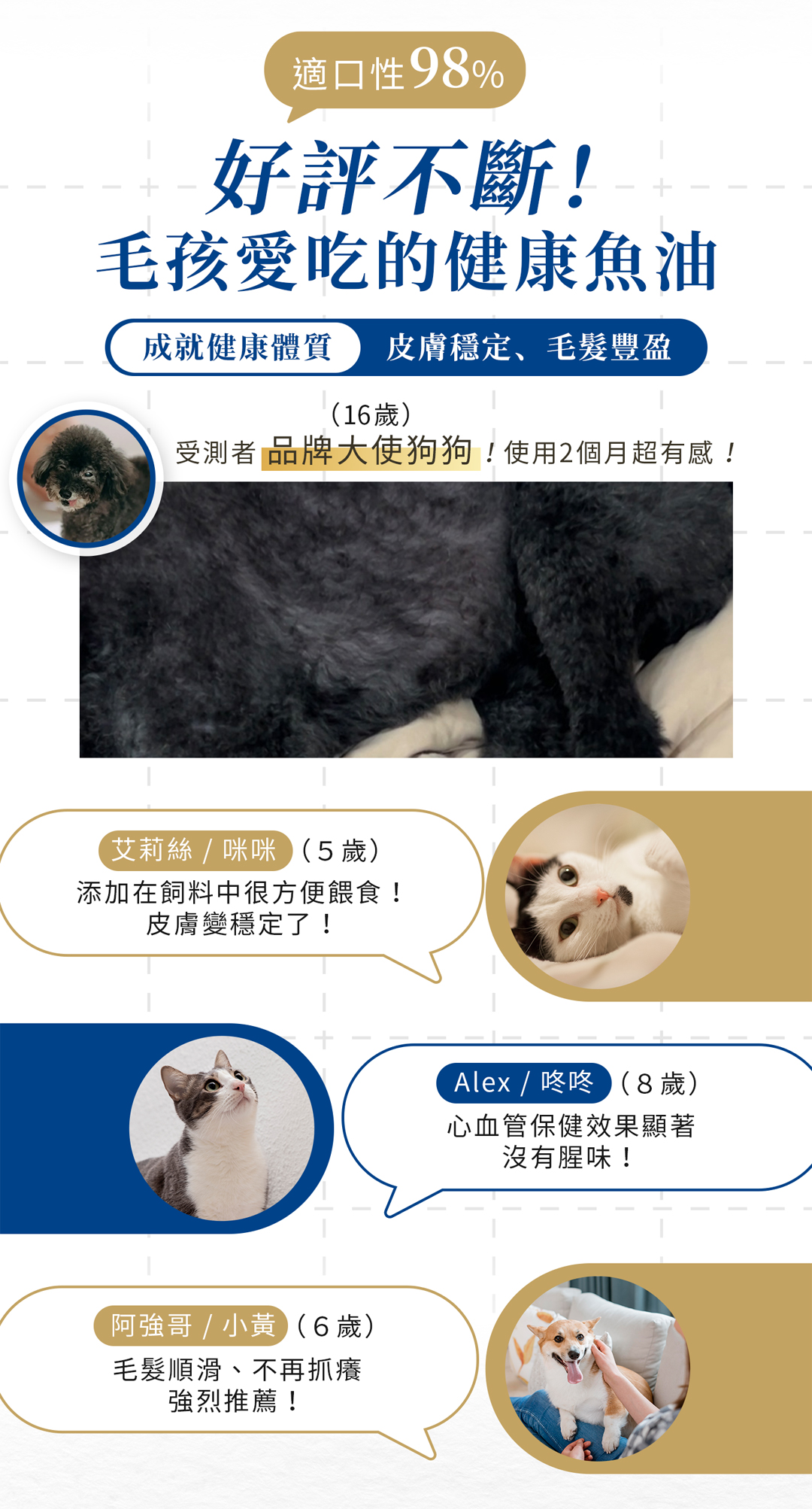 寵物防護盾_魚油LP4_11