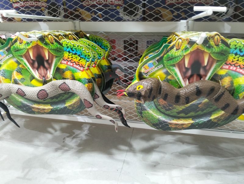 fun-animals-snake-1