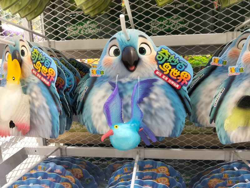 animal-bird-1