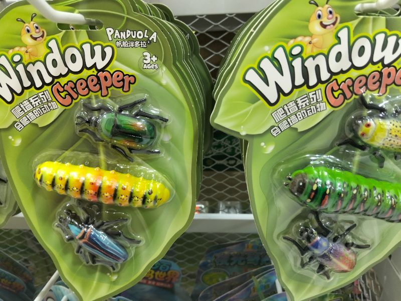 window-creeper-mix-1
