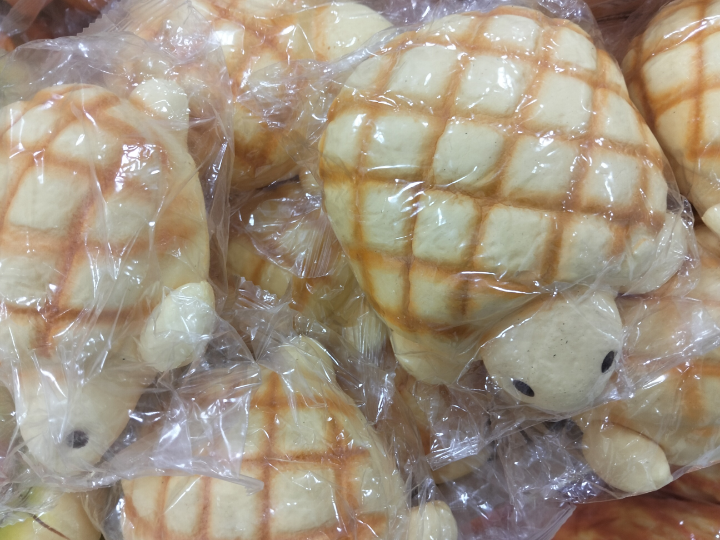 turtle-melon-pan-squishy-1