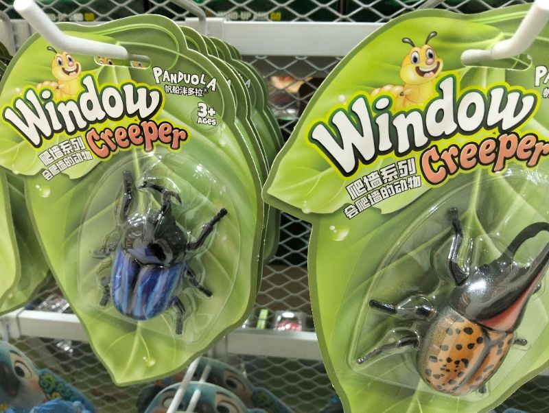 window-creeper-mix-2