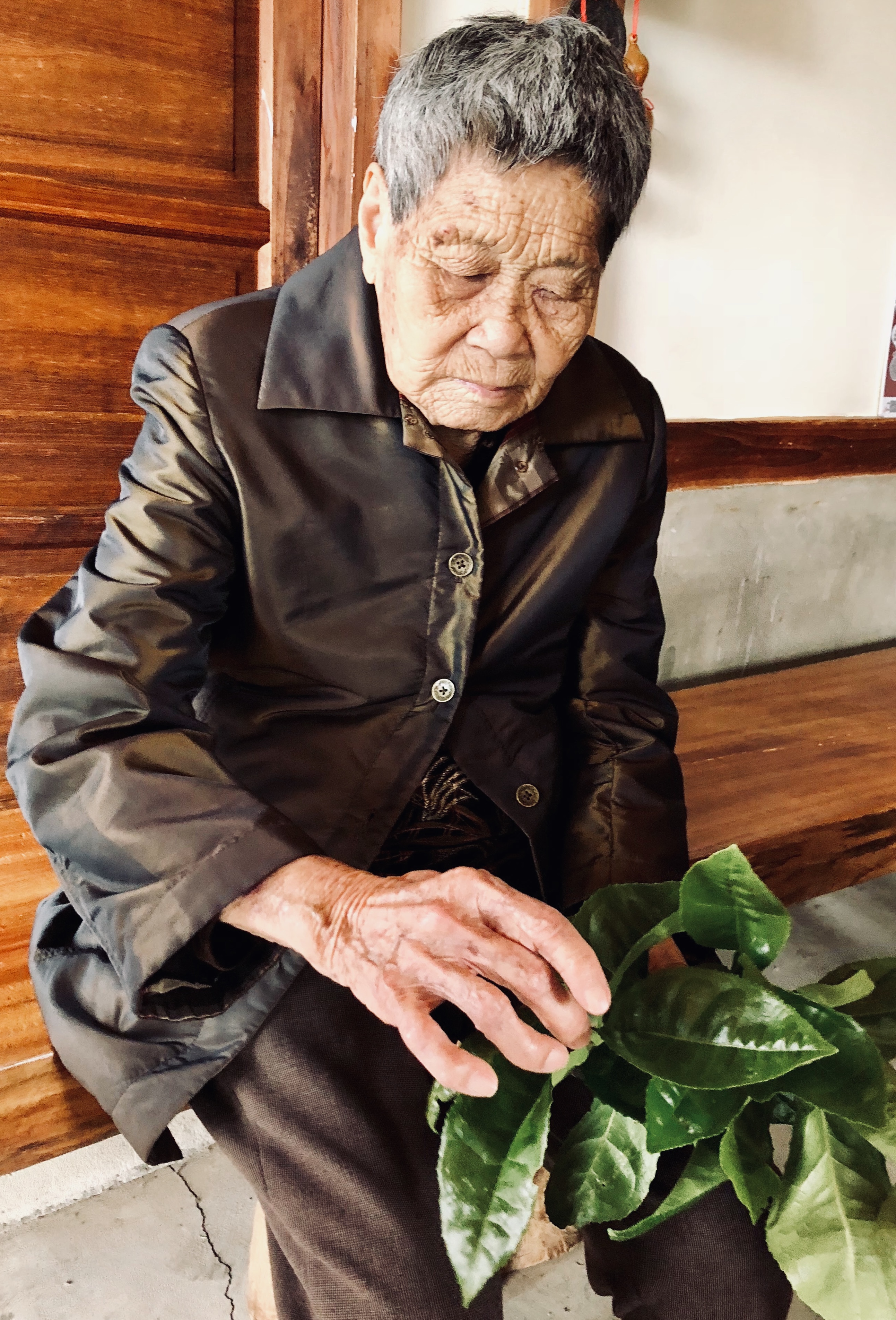 第二代茶人李張彩雲