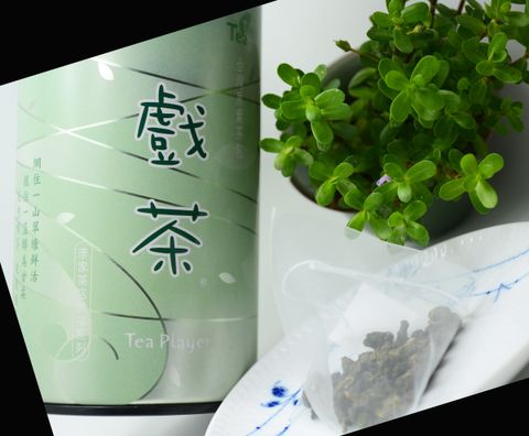 DSC_1864戲茶茶包.jpg