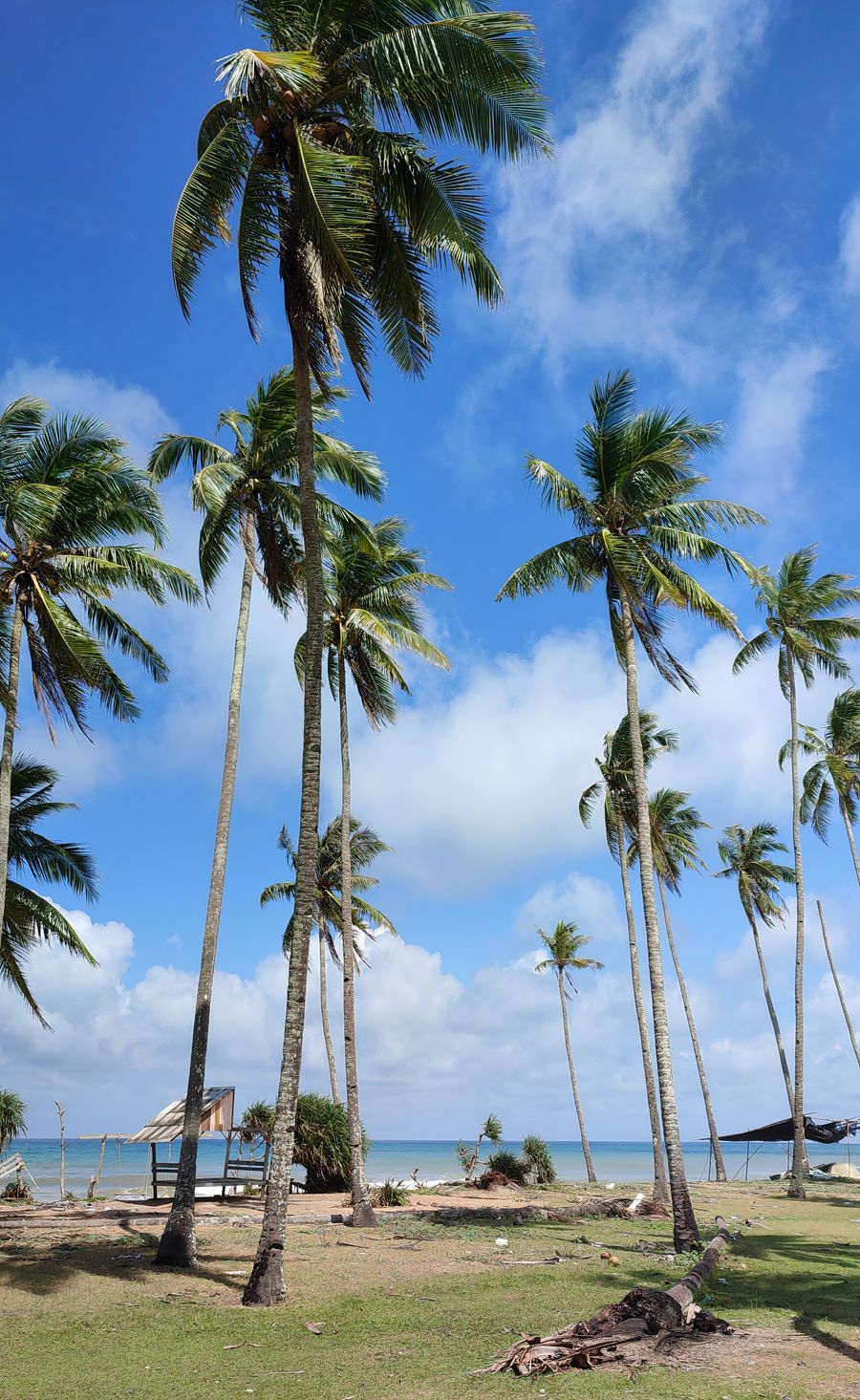 Delooqa Clothing | Delooqa