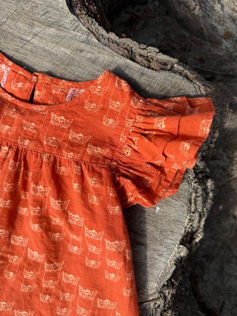 image_0545D590-F5B6-4C0B-A9A2-0F0569DD0286_1741800109