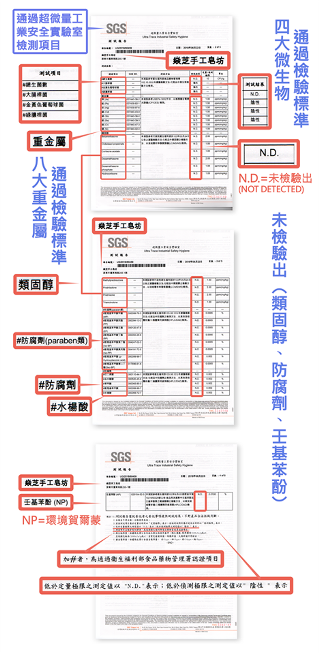 中文版SGS檢驗報告