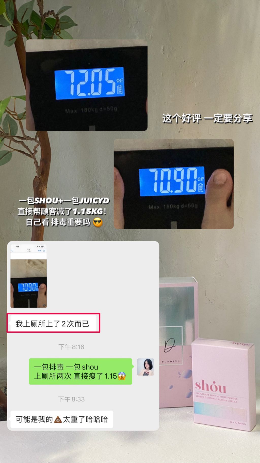 Shou Fit Chocolate Mint 口服燃脂抗糖饮– 贝俐儿小店Beryl Z Enterprise