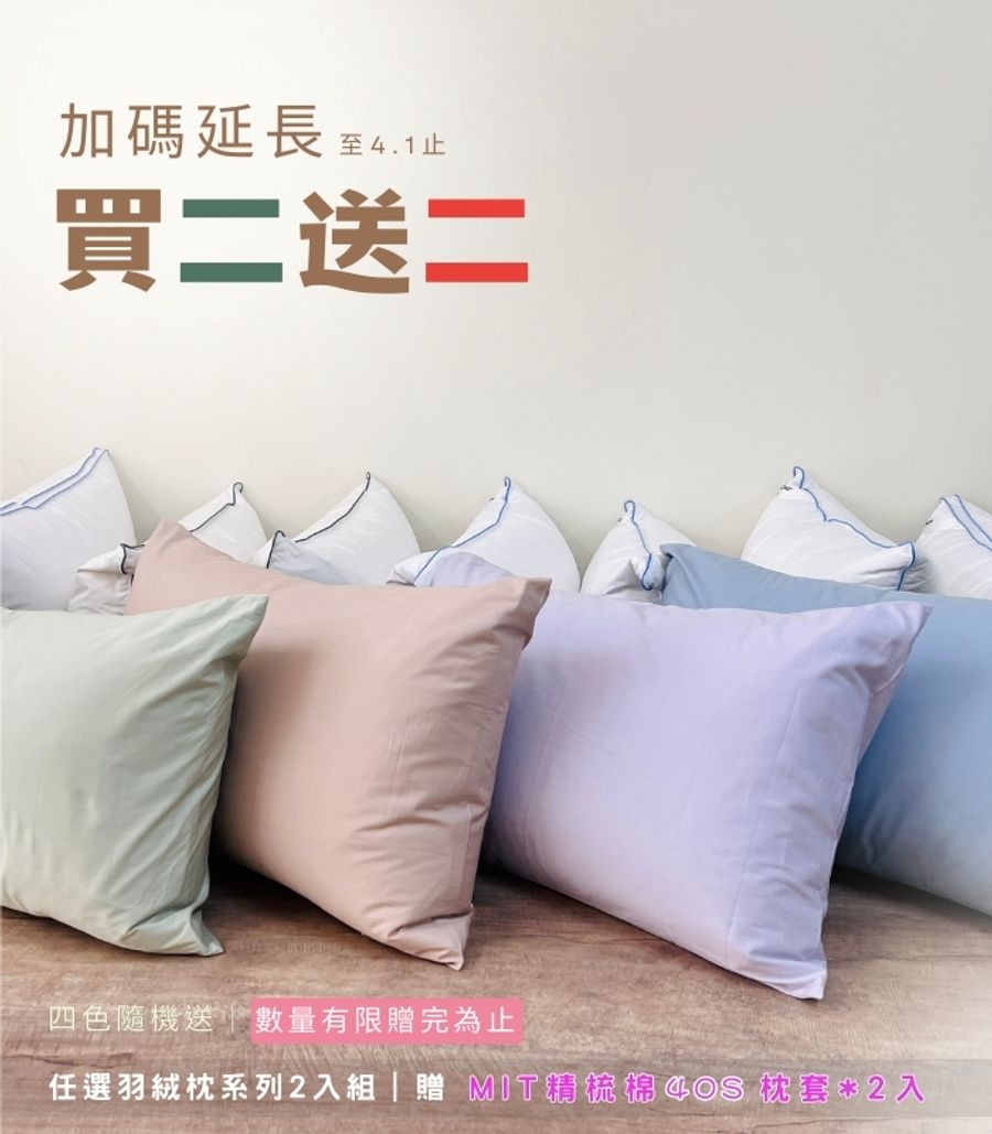 iDOWN BEDDING 愛羽絨 | 