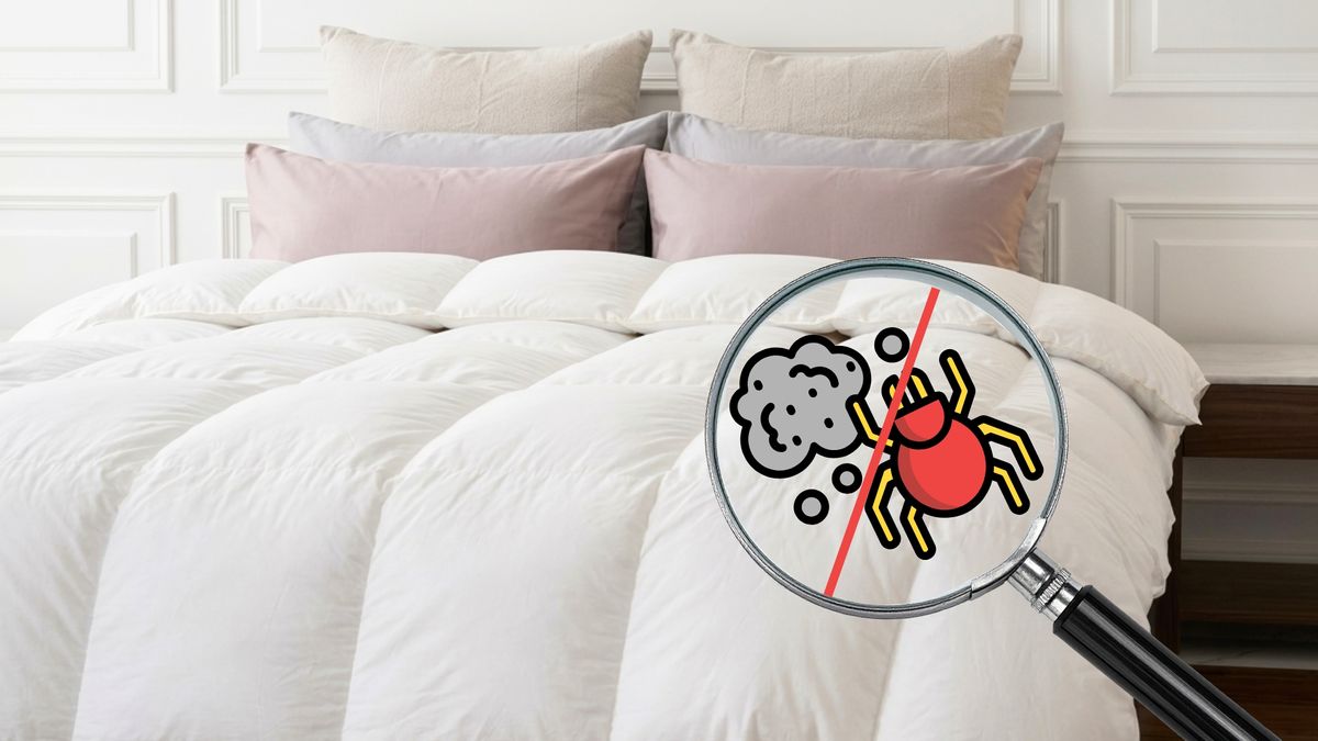 羽絨寢具防塵螨嗎 !?