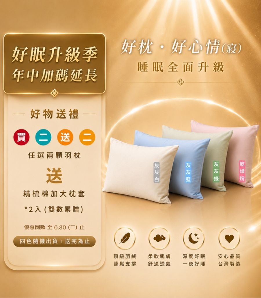 iDOWN BEDDING 愛羽絨 | 