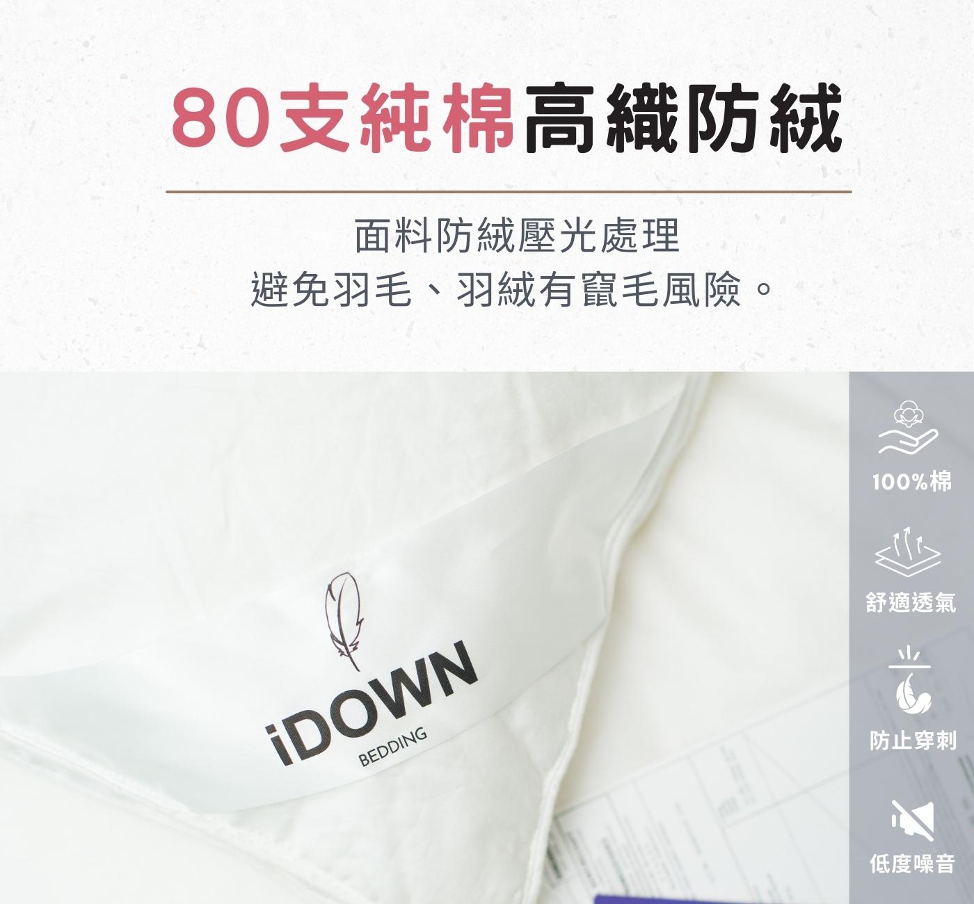 iDOWN 超保暖波蘭羽絨被