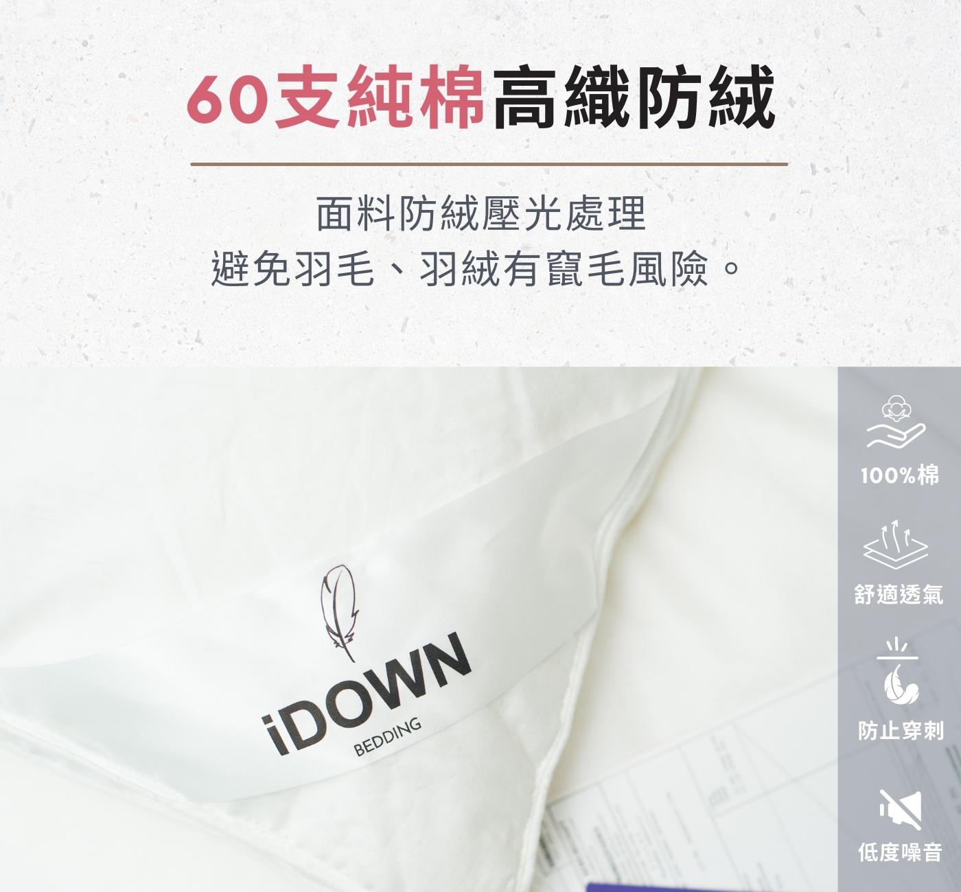 iDOWN 98 超輕暖波蘭羽絨被