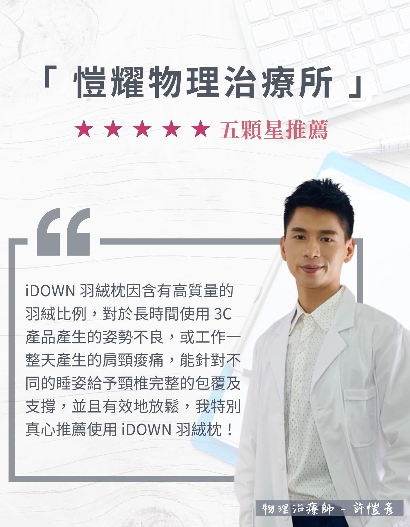 iDOWN羽枕系列