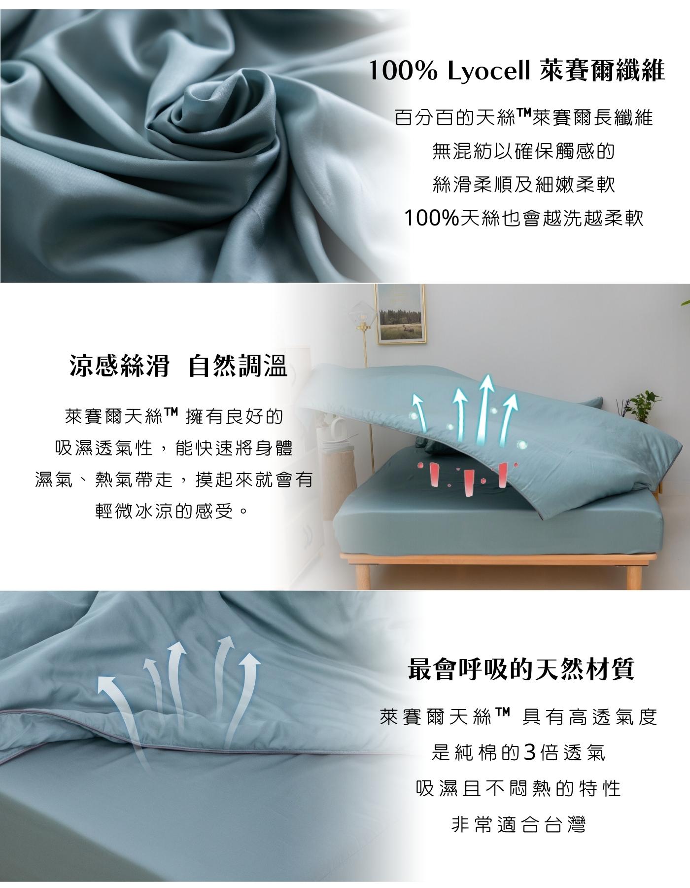 iDOWN寒羽葳天絲大枕套 iDOWN寒羽葳天絲大枕套