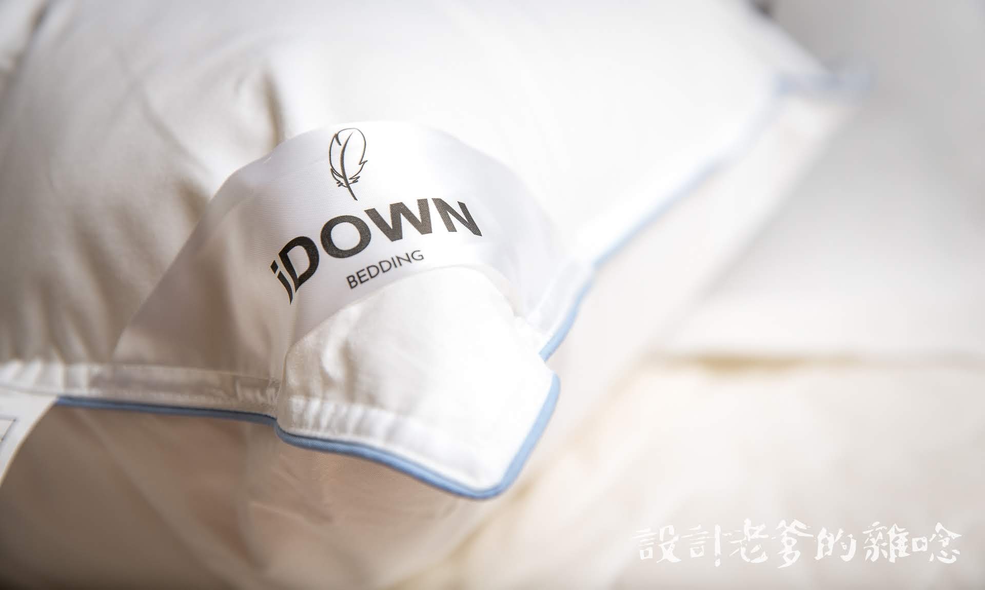 20191027-HL7A7260 (1)