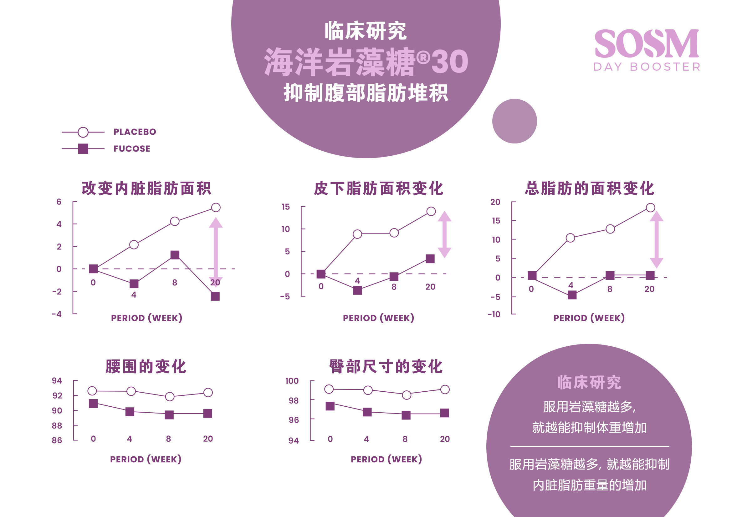 SOMS Day Booster  - Fat Reduce Fat Burn